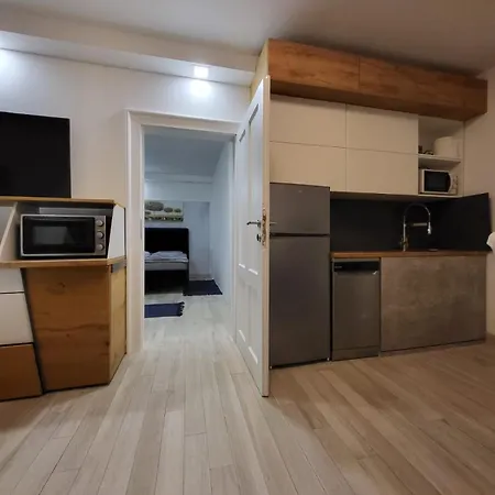 Apartment Buzanova V